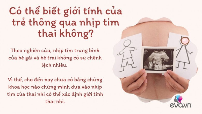 Nhịp tim thai của bé trong bụng mẹ tiết lộ điều gì? - 3