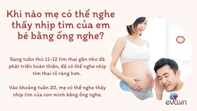 Nhịp tim thai của bé trong bụng mẹ tiết lộ điều gì? - 5
