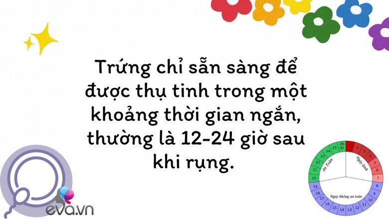 Chỉ còn 1 tháng để "săn Rồng con", mẹ đừng bỏ qua dấu hiệu ngày rụng trứng để thụ thai thành công - 1