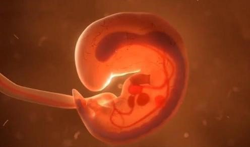 &#34;Có kiêng có lành&#34;, 3 lý do mẹ bầu phải hết sức lưu ý khi mang thai 12 tuần đầu - 1