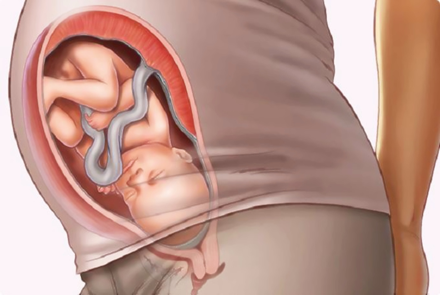 5 dấu hiệu chứng tỏ thai nhi đã di chuyển vào vùng xương chậu, sẵn sàng chào đời - 1