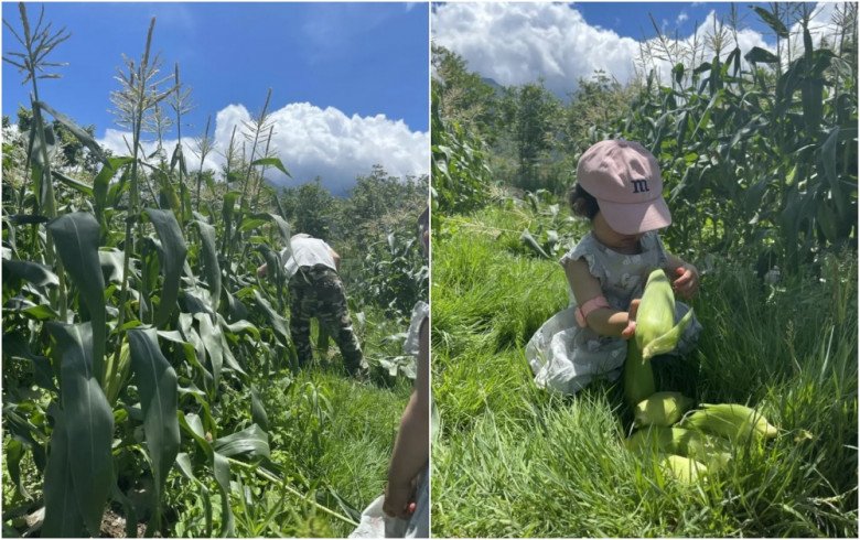 Cặp vợ chồng bán nhà đưa con về quê thuê gần 27.000m2 đất làm nông dân trồng hoa, rau trái, thoát cảnh bon chen ở thành phố