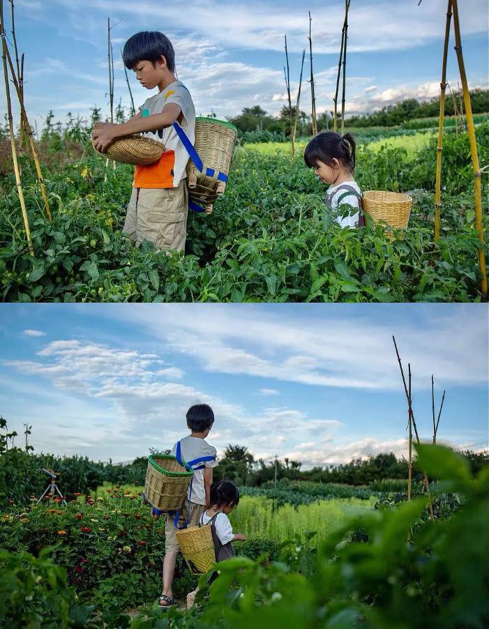Cặp vợ chồng bán nhà đưa con về quê thuê gần 27.000m2 đất làm nông dân trồng hoa, rau trái, thoát cảnh bon chen ở thành phố