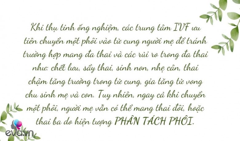 Mang thai theo phương pháp IVF nhưng sinh đôi tự nhiên: Hiếm gặp và là điều kì diệu - 3