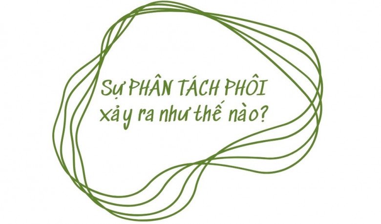 Mang thai theo phương pháp IVF nhưng sinh đôi tự nhiên: Hiếm gặp và là điều kì diệu - 5