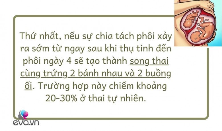 Mang thai theo phương pháp IVF nhưng sinh đôi tự nhiên: Hiếm gặp và là điều kì diệu - 7