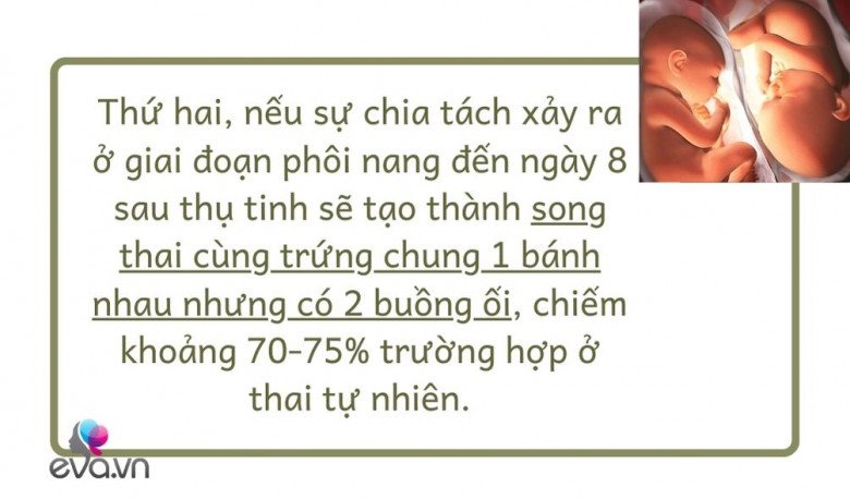 Mang thai theo phương pháp IVF nhưng sinh đôi tự nhiên: Hiếm gặp và là điều kì diệu - 8