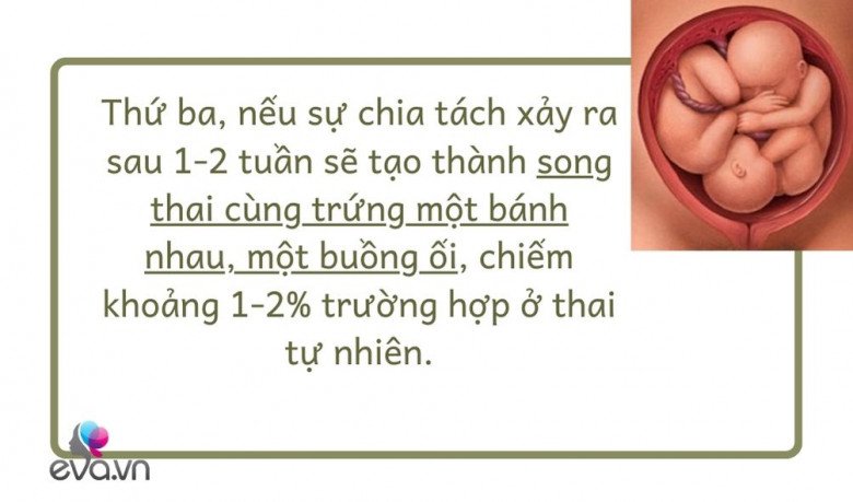 Mang thai theo phương pháp IVF nhưng sinh đôi tự nhiên: Hiếm gặp và là điều kì diệu - 9