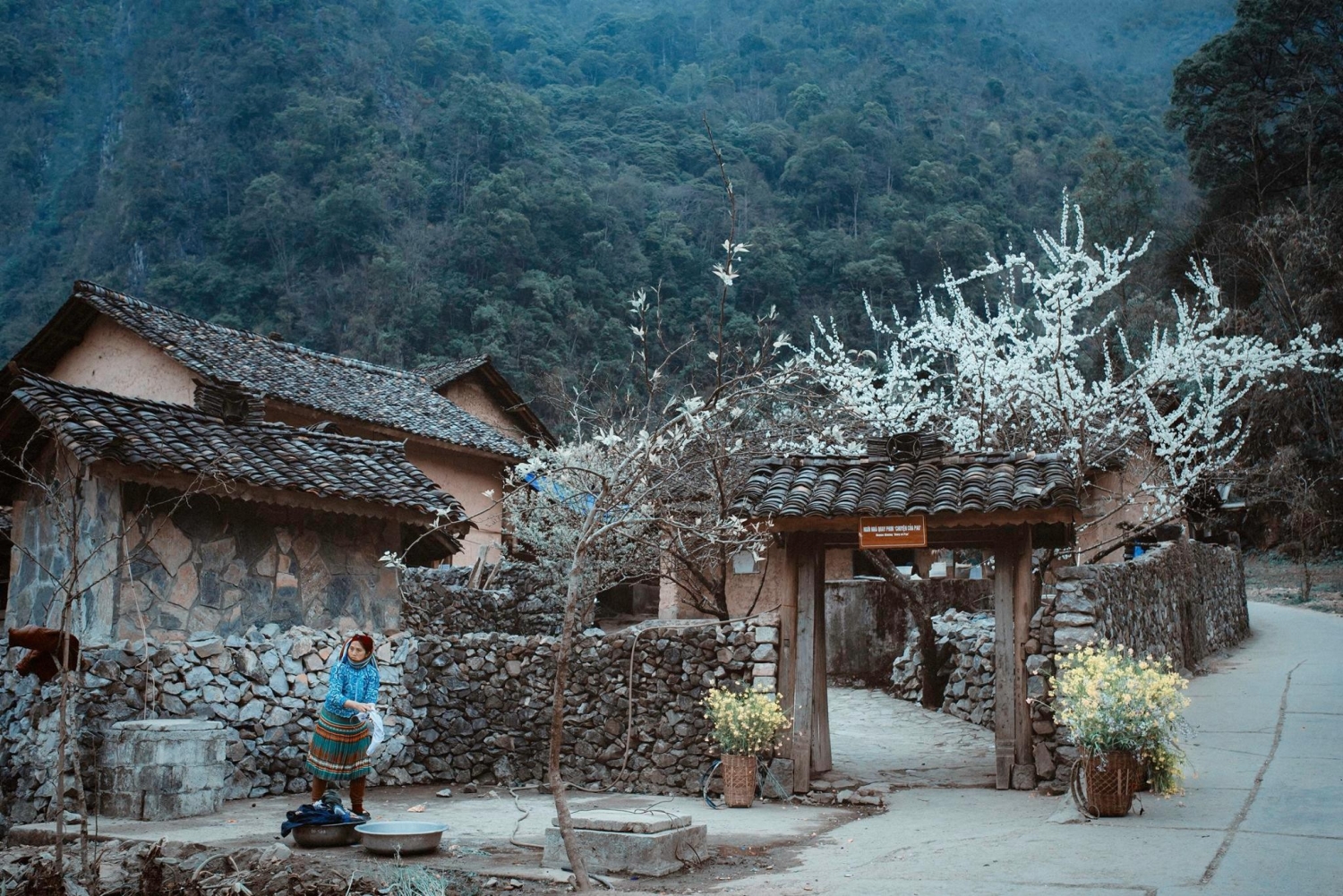 Đánh thức “Chuyện của Pao” - 1