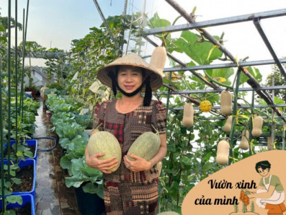 Gia đình - Bà nội Bình Dương làm vườn trên sân thượng 60m2, rau xanh mơn mởn, quả sai trĩu trịt quanh năm