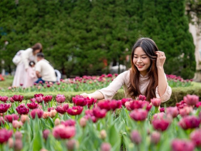 Thông tin doanh nghiệp - Thưởng ngoạn hàng nghìn bông tulip quý hiếm trên đỉnh Bà Nà dịp Tết Nguyên đán