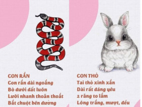 15 bài thơ về các loài vật, dạy bé tập nói và nuôi dưỡng tình yêu thiên nhiên