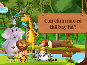 Con chim gì có thể bay lùi?