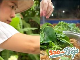 Mỹ Tâm ra vườn hái rau vào nấu "canh tập tàng", người hâm mộ thi nhau gọi Mai Tài Phến