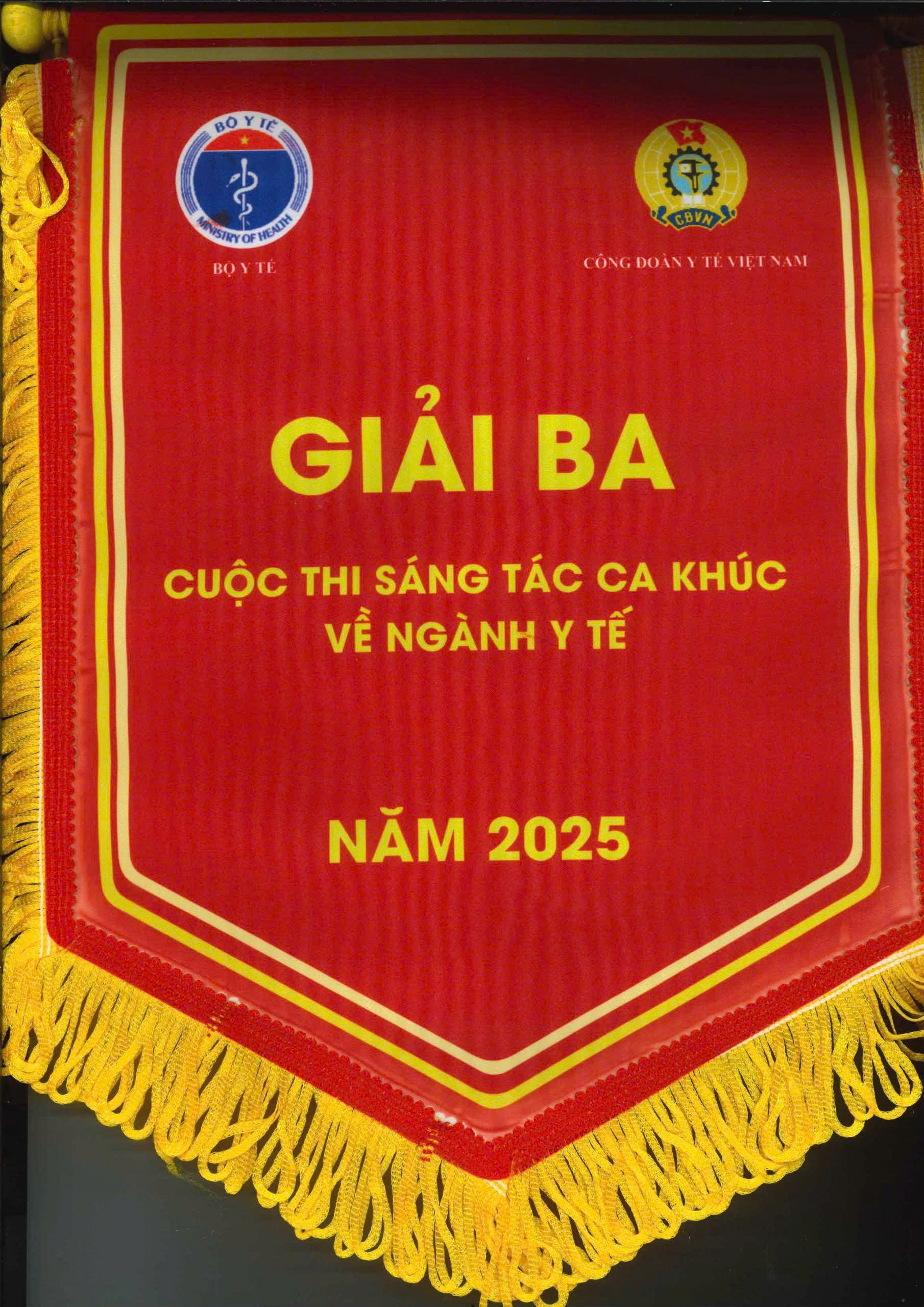 MV “Đoá hoa từ mẫu”: Tôn vinh những người làm nghề y - 2