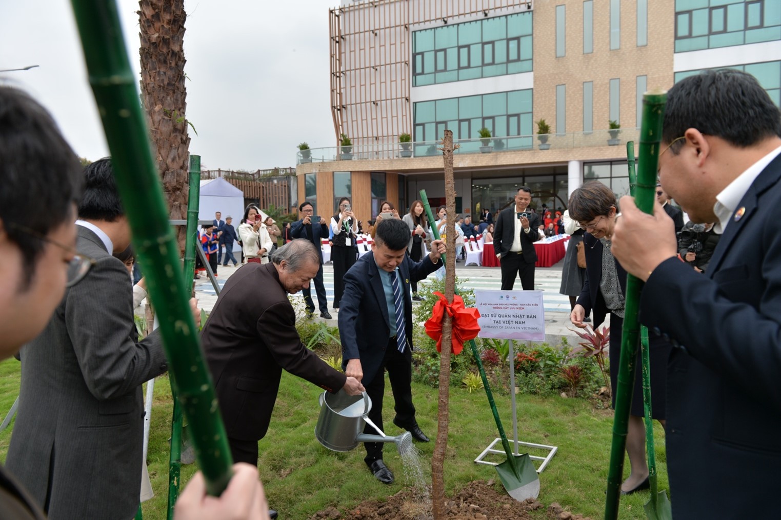 Lễ hội hoa anh đào Hải Phòng - Nam Cầu Kiền 2025: Không gian giao lưu văn hóa Việt - Nhật và những trải nghiệm đặc sắc - 5