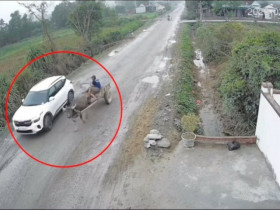 Clip: Vượt 