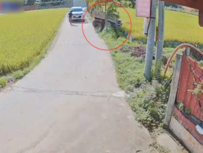 Giao thông - Clip: Tránh ô tô trước mặt, tài xế công nông &quot;hạ cánh&quot; thẳng xuống ruộng