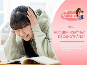 Chuyên gia: 1/4 học sinh gặp vấn đề tâm lý, đánh cược sức khỏe và tinh thần để đạt điểm cao