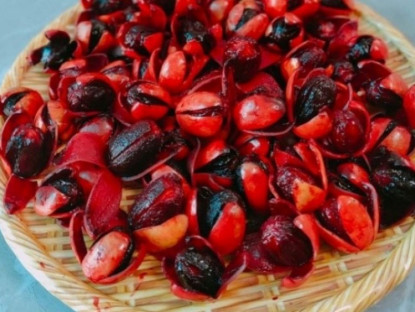Thông tin doanh nghiệp - Ăn 3 loại quả “đỏ như máu” này mỗi ngày, &quot;hai lá phổi sẽ cảm ơn bạn suốt đời&quot;!