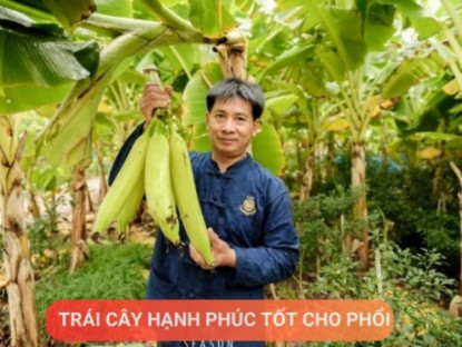 Thông tin doanh nghiệp - Loại quả được mệnh danh là “trái cây hạnh phúc”, rất giàu dinh dưỡng cho phổi, nhưng thường bị người Việt bỏ qua