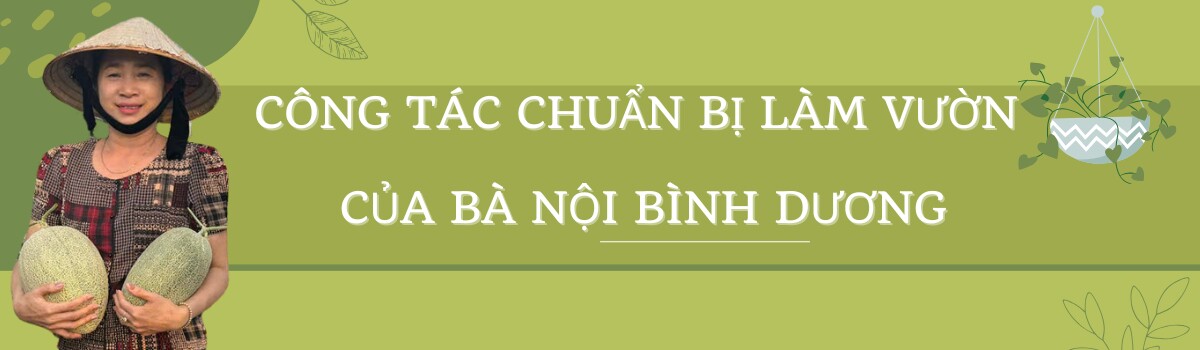 Bà nội Bình Dương làm vườn trên sân thượng 60m2, rau xanh mơn mởn, quả sai trĩu trịt quanh năm - 1