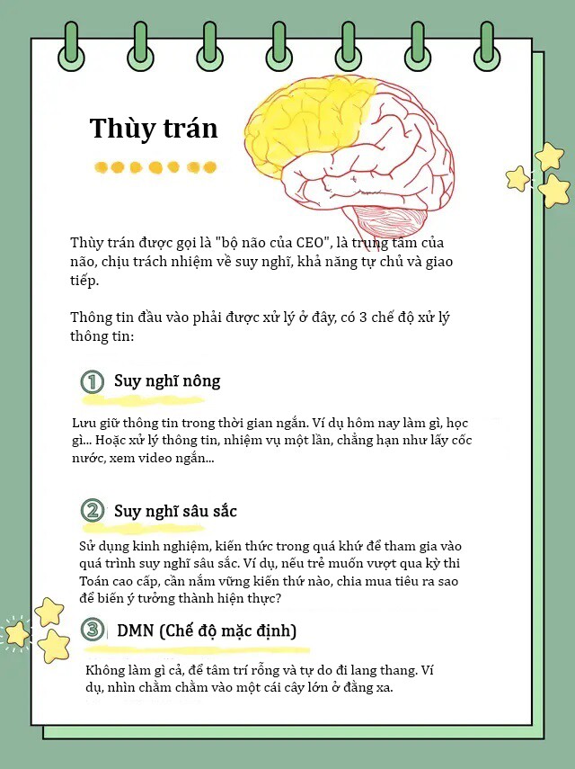 Xem tivi, điện thoại nhiều không chỉ làm hỏng mắt, 3 nội dung này trên internet còn &#34;đánh cắp trí não&#34; trẻ - 4