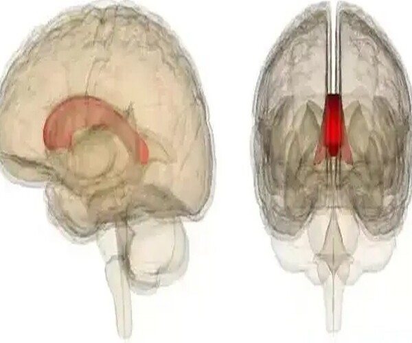 Đứa trẻ bị &#34;tẩy não&#34; càng sớm càng dễ thành công - 1