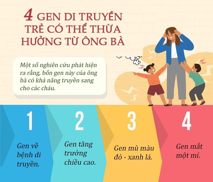 Không phải bố mẹ, đây mới là người truyền 4 đặc điểm &#34;kỳ lạ&#34; sang trẻ - 3