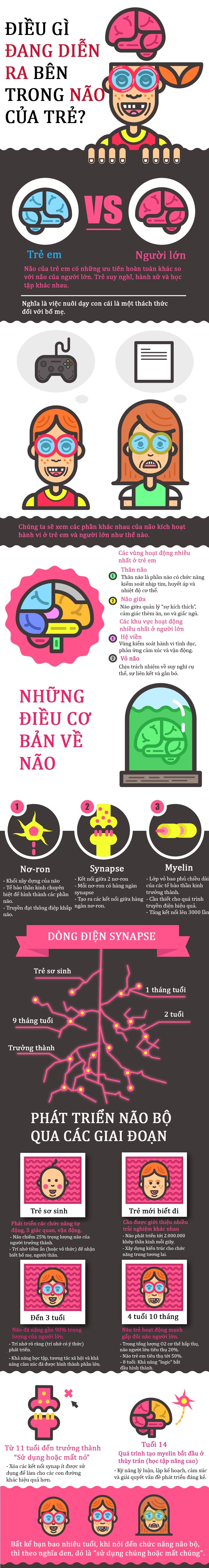 Bí mật thú vị đang diễn ra bên trong não trẻ, nắm bắt càng sớm, con càng thông minh - 1