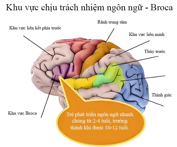 Trẻ nói sớm hay trẻ nói chậm thông minh hơn? Bố mẹ nên biết điều này trước khi quá muộn - 1