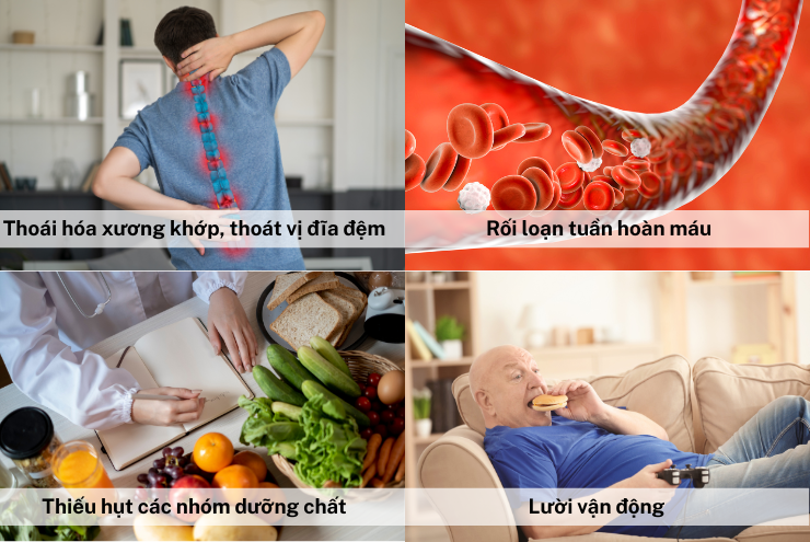 Người bị tê bì chân tay: Ăn thế nào để “thoát” cảnh mệt mỏi, đau nhức kéo dài? - 2