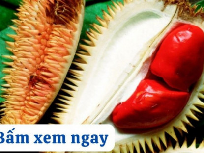 Thông tin doanh nghiệp - 3 loại quả mùa lạnh tốt như “nhân sâm” cho người bị đau xương khớp