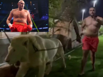 Thể thao - Võ sĩ "đạn bắn không chết", dắt sư tử đi dạo rồi thách đấu "Vua giang hồ" Fury