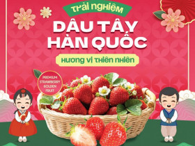 Sức hút từ vị ngọt thiên nhiên của Dâu tây Hàn Quốc tại chương trình Sampling cùng Biovegi