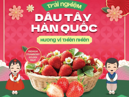 Nhịp cầu doanh nghiệp - Sức hút từ vị ngọt thiên nhiên của Dâu tây Hàn Quốc tại chương trình Sampling cùng Biovegi