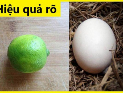 Thông tin doanh nghiệp - Ai bảo trào ngược dạ dày là bệnh dai dẳng, thử mẹo này đúng 3 tháng xem đảm bảo hiệu quả quá bất ngờ