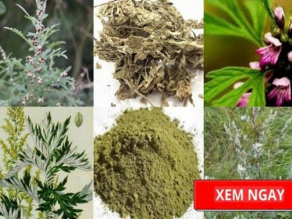 Thông tin doanh nghiệp - Học người Nhật bí quyết giảm đau xương khớp được truyền qua hàng trăm năm