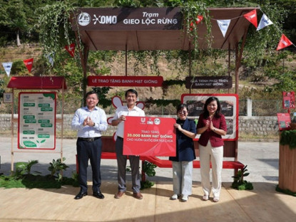 Thông tin doanh nghiệp - OMO viết chương tiếp của hành trình 1 triệu cây: Bắt đầu từ Núi Chúa đến khắp Việt Nam