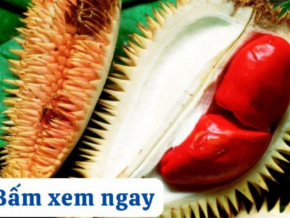 Thông tin doanh nghiệp - 3 loại quả mùa lạnh ở miền Bắc tốt như “nhân sâm” cho người bị đau xương khớp