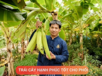 Thông tin doanh nghiệp - Loại quả được mệnh danh là “trái cây hạnh phúc”, rất giàu dinh dưỡng cho phổi, nhưng thường bị người Việt bỏ qua