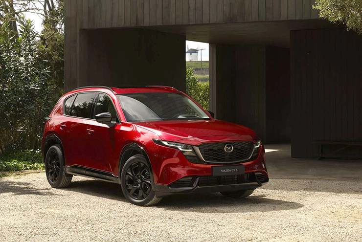 Những mẫu ô tô bán chạy nhất phân khúc trong năm đã qua - 3