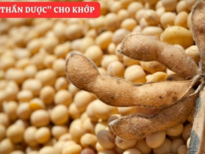 Thông tin doanh nghiệp - “Tái sinh” khớp gối với món ăn đại bổ giúp xương khớp cử động trơn tru