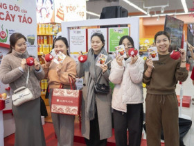 Cosmic Crisp® – khi táo Mỹ trở thành lựa chọn quen thuộc của gia đình Việt hiện đại