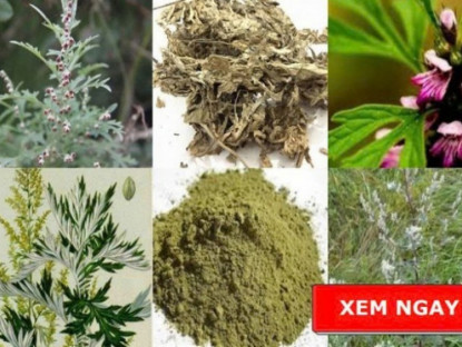 Thông tin doanh nghiệp - Học người Nhật bí quyết giảm đau xương khớp được truyền qua hàng trăm năm