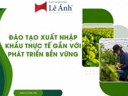 Thông tin doanh nghiệp - XNK Lê Ánh - Đào tạo xuất nhập khẩu thực tế gắn với phát triển bền vững