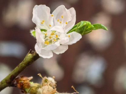 Thông tin doanh nghiệp - Tết hai miền qua những khoảnh khắc quen thuộc