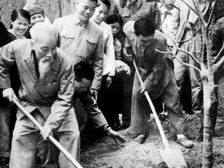 Tết trồng cây nhớ Bác