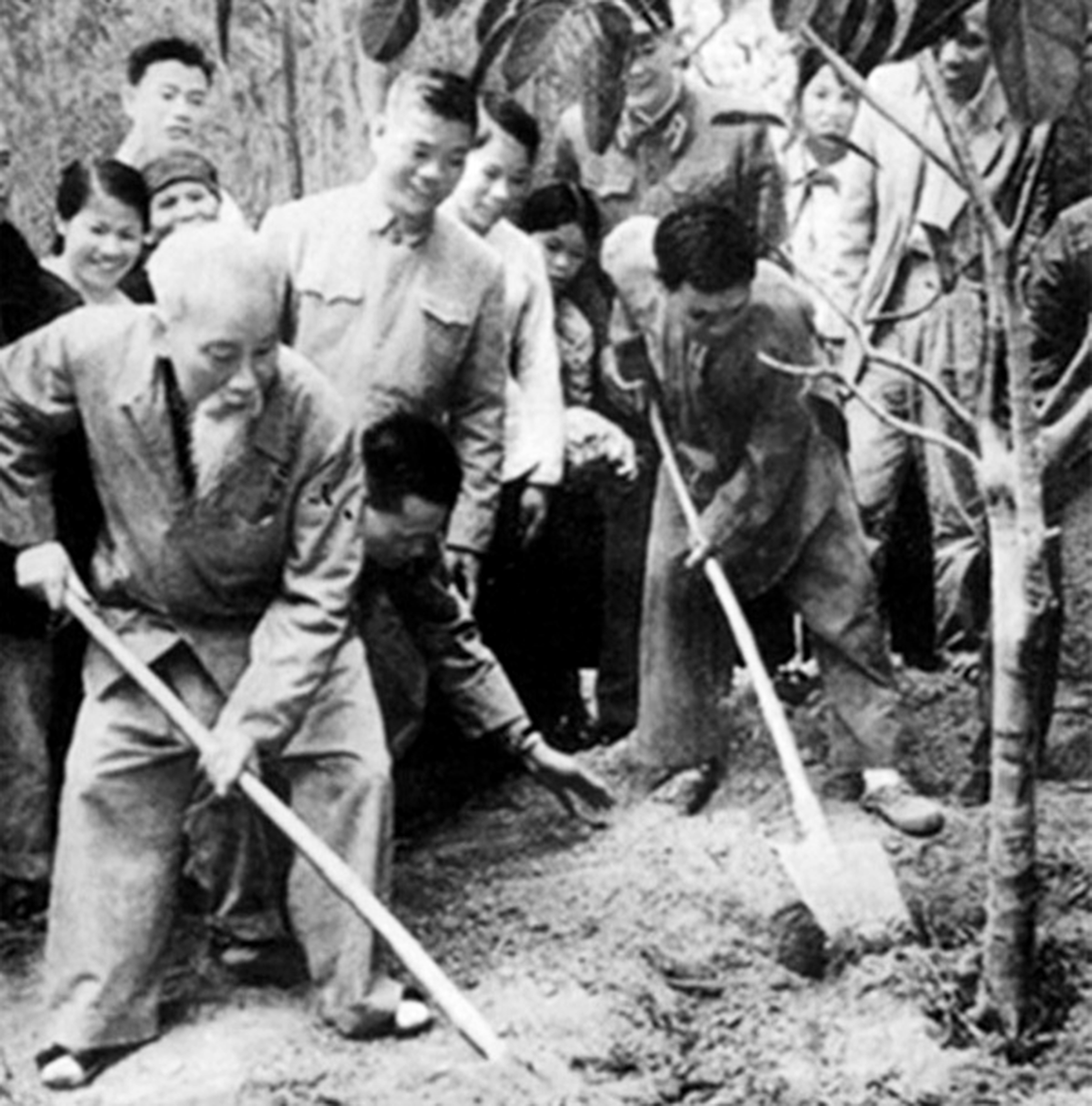 Tết trồng cây nhớ Bác - 2