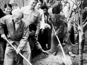 Tết trồng cây nhớ Bác
